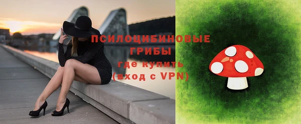 наркотики Карпинск