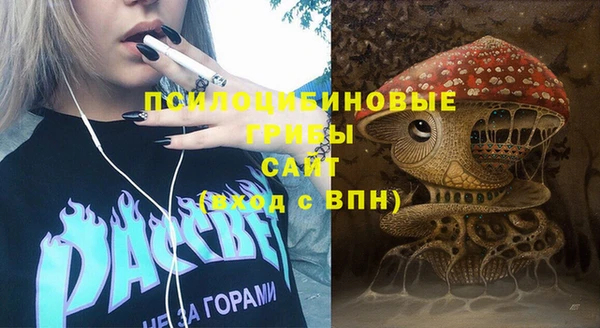 мескалин Каменка