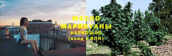 индика Касимов