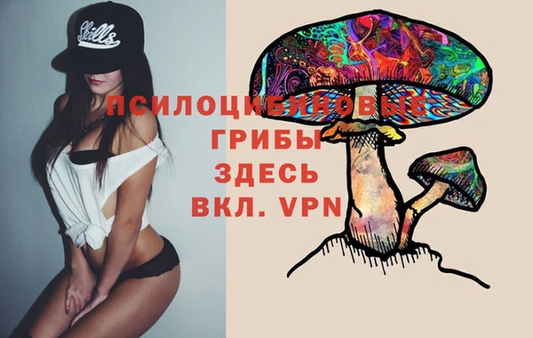 спайс Каменногорск